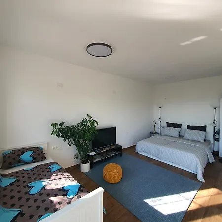 Apartma Tomazic アパート *