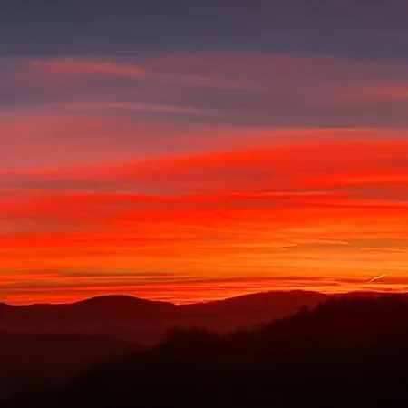 Apartament Apartma Tomazic