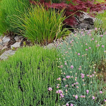 Apartma Tomazic Apartament