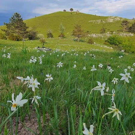 Apartma Tomazic * Hrusica (Ilirska Bistrica)