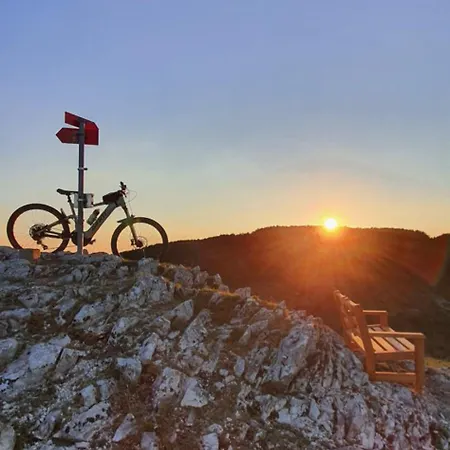 Apartma Tomazic Apartament *