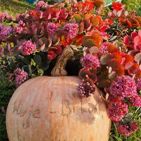 Apartament Apartma Tomazic