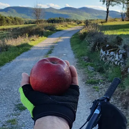 Apartament Apartma Tomazic