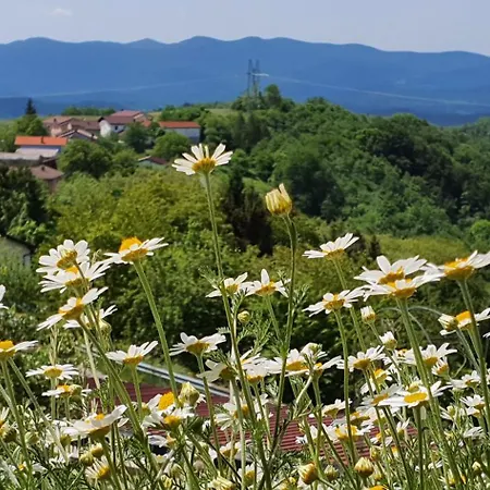 Apartma Tomazic
