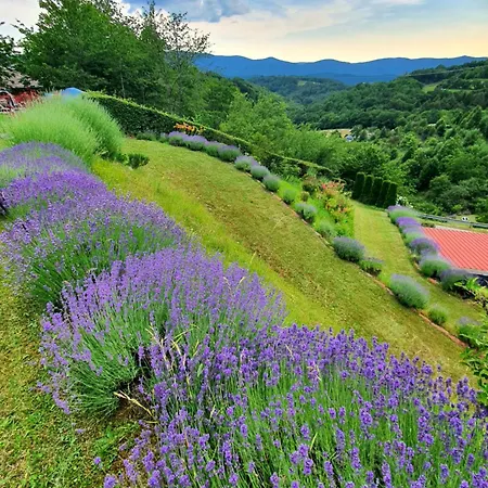 Apartma Tomazic * Hrusica (Ilirska Bistrica)