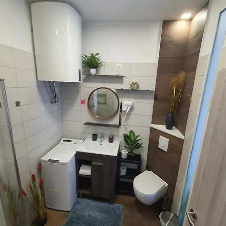 Apartment Apartma Tomazic Hrusica (Ilirska Bistrica)
