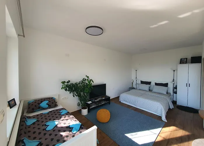 Apartma Tomazic アパート *