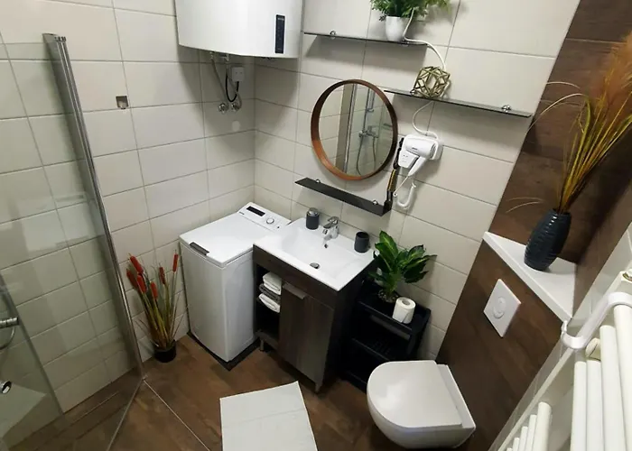 Apartma Tomazic アパート Hrušica