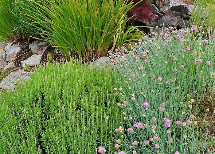 Apartma Tomazic アパート