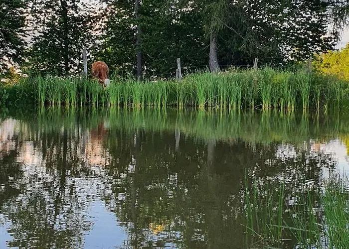 Apartma Tomazic アパート Hrušica