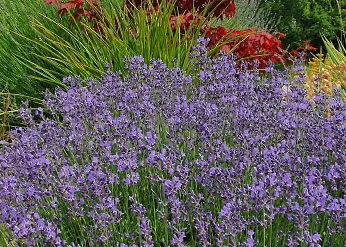 Apartma Tomazic アパート