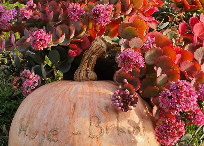 アパート Apartma Tomazic