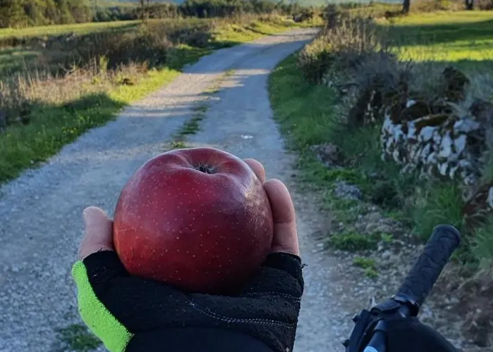 アパート Apartma Tomazic