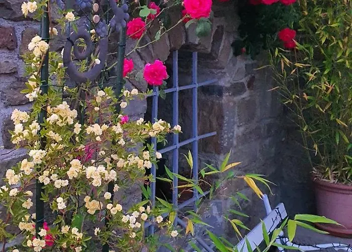 Apartma Tomazic * Hrušica