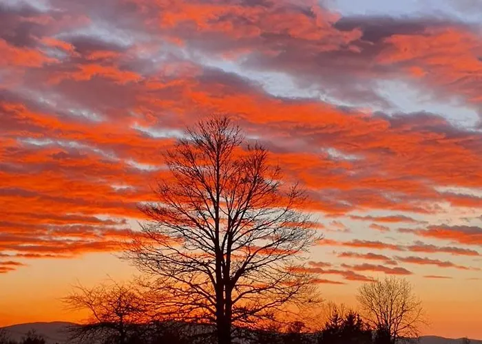 アパート Apartma Tomazic Hrušica